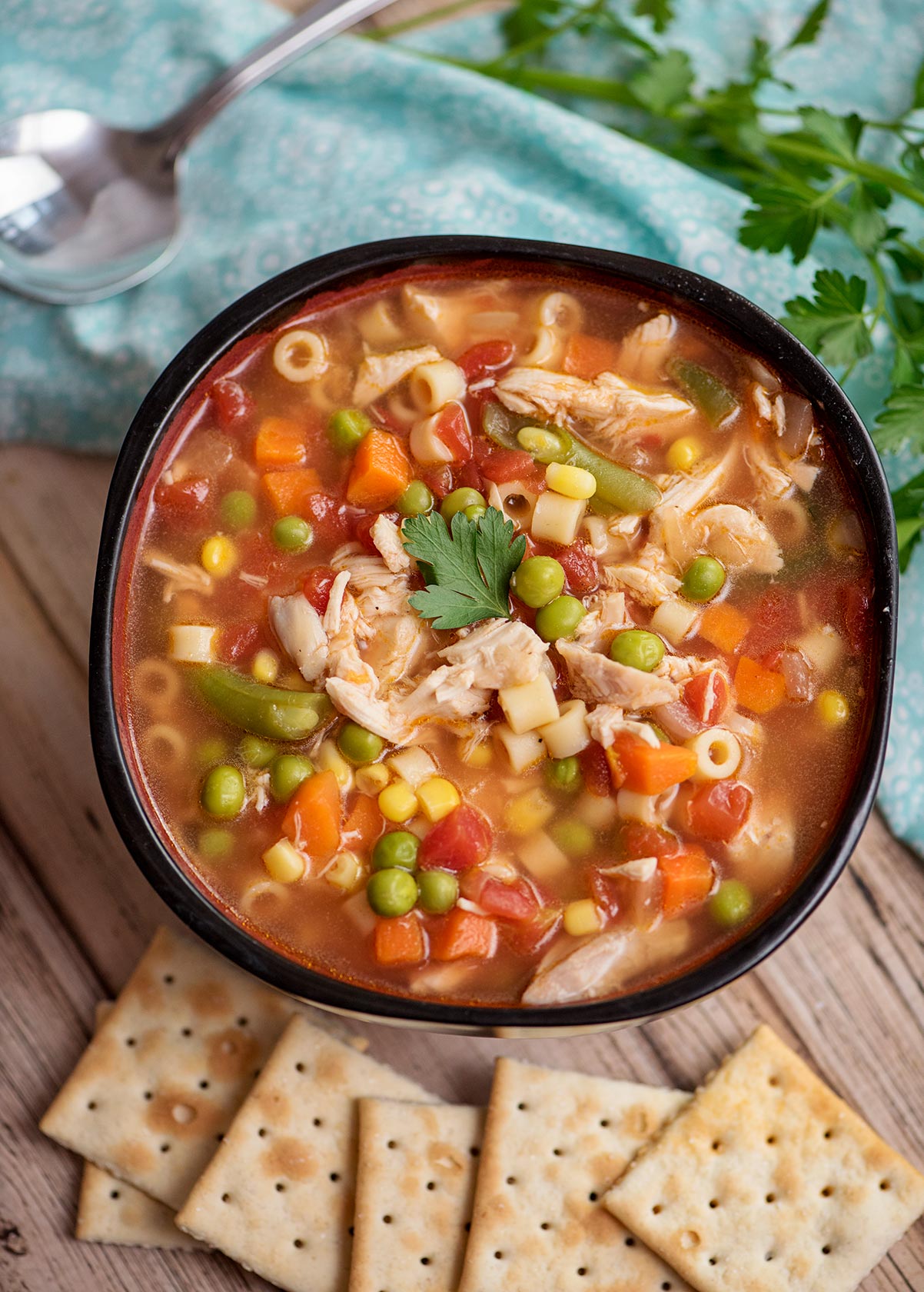Instant Pot Chicken Vegetable Soup